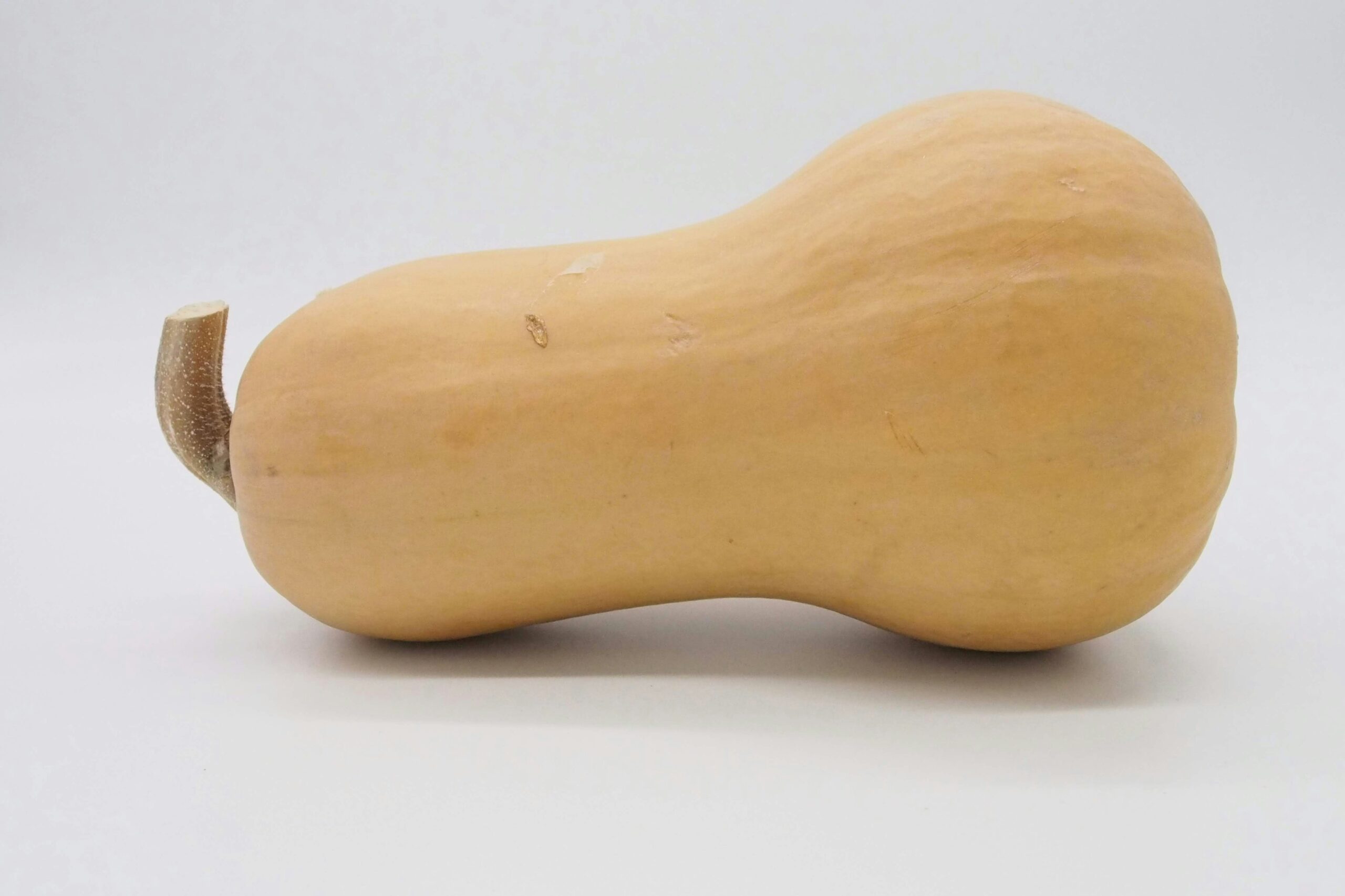 Butternut